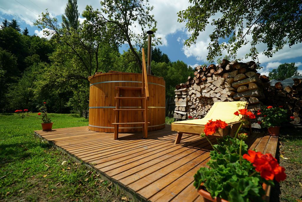 Casa Bunicii Hotel Moisei Exterior foto